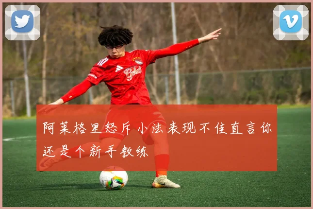 阿莱格里怒斥小法表现不佳直言你还是个新手教练