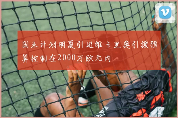 国米计划明夏引进维卡里奥引援预算控制在2000万欧元内