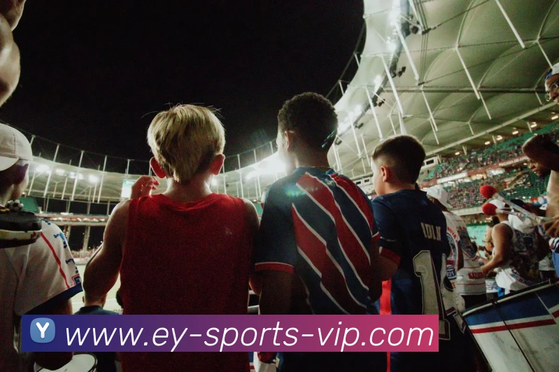 易游体育平台生态图