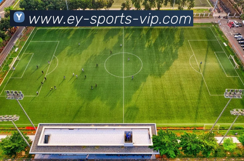 易游体育APP 封面图